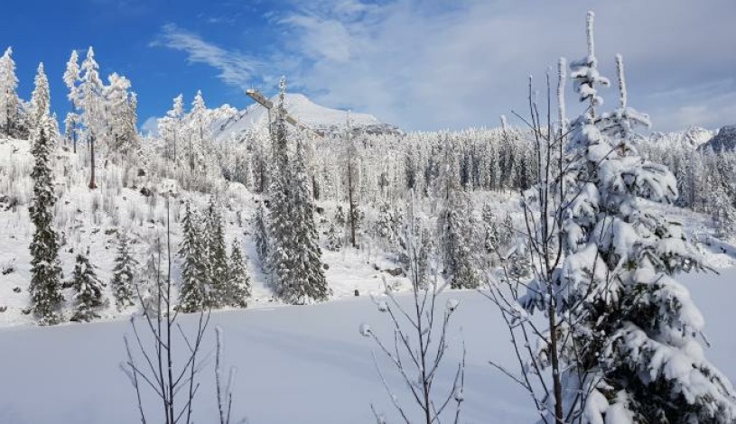 Hotel CROCUS **** Vysoké Tatry
